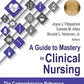 A Guide to Mastery in Clinical Nursing The Comprehensive Reference