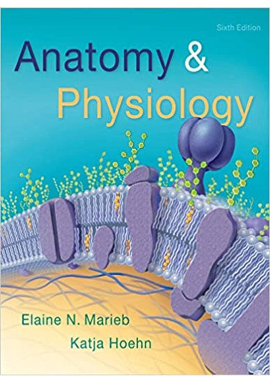 Anatomy and Physiology - 6th edition