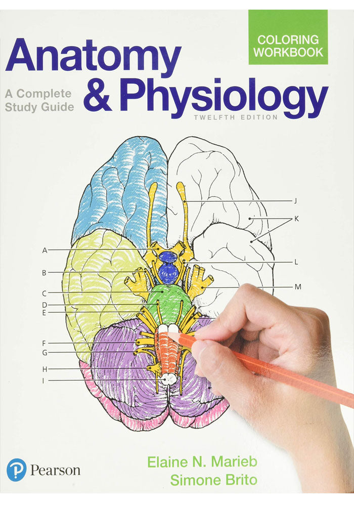 Anatomy and Physiology Coloring Workbook: A Complete Study Guide 12th Edition