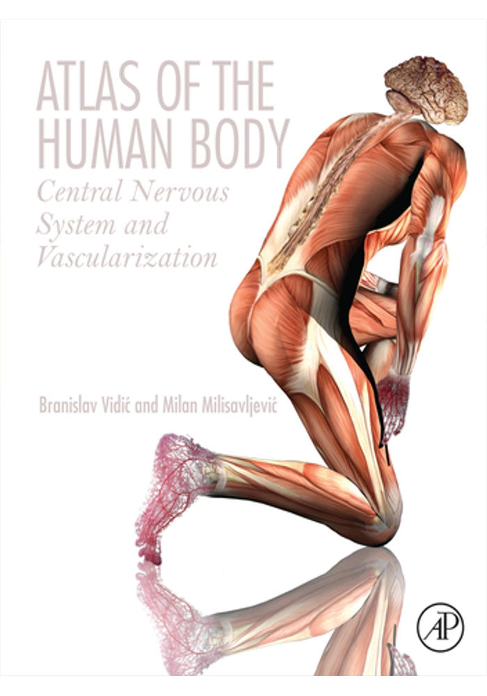 Atlas of the Human Body: Central Nervous System and Vascularization 1st Edition, Kindle Edition