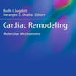 Cardiac Remodeling Molecular Mechanisms