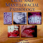 Contemporary Oral & Maxillofacial Pathology 2nd EDITION Unknown Binding